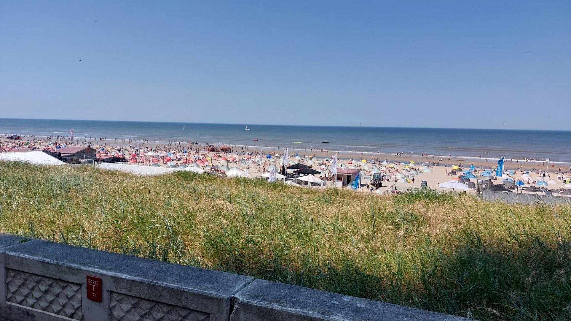 Apartament Zeelucht Zandvoort Zewnętrze zdjęcie